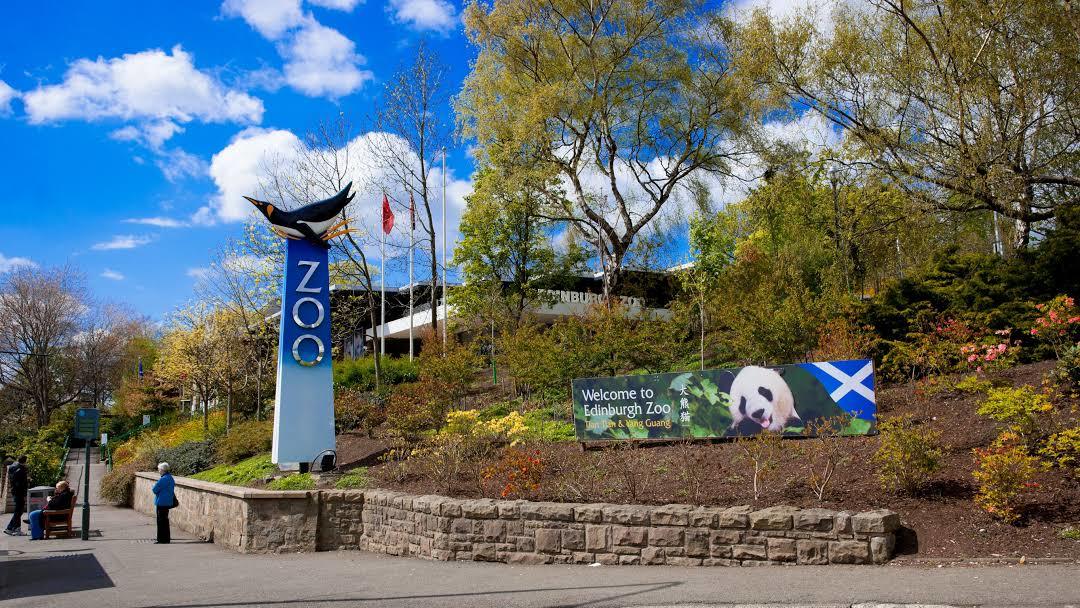 Zoo d'Édimbourg