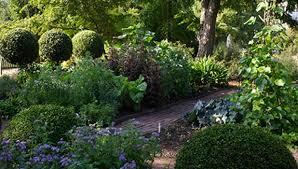 Chelsea Physic Garden