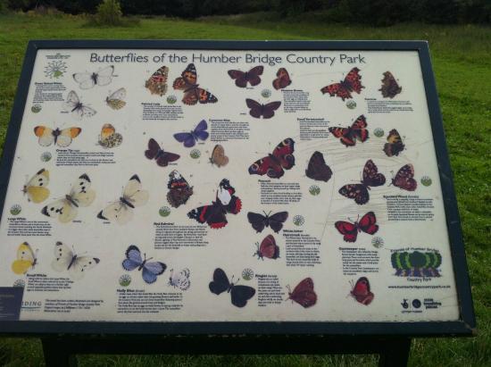 Humber Bridge Country Park