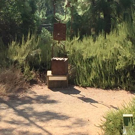 Sculpture Garden in Amirim