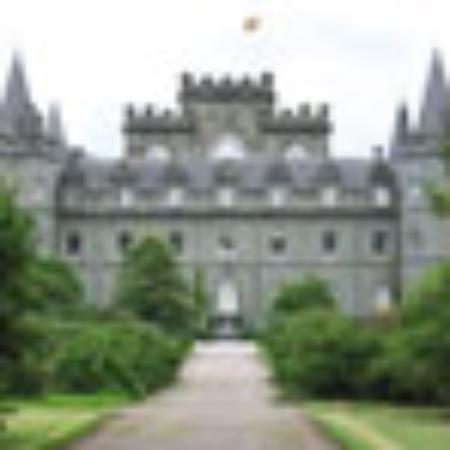 The Canton Restaurant