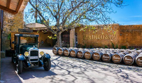 Casa Vermouth Padró