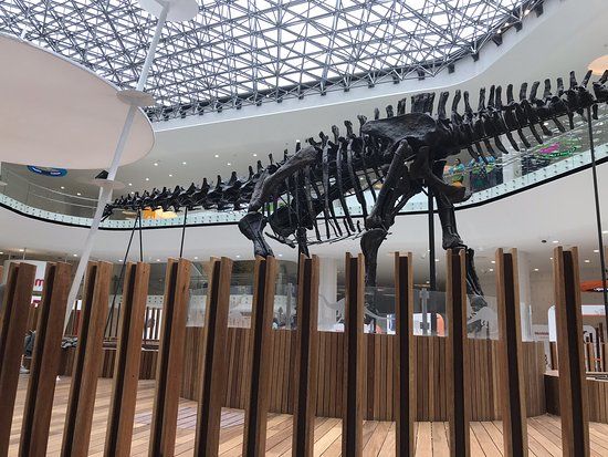 Papalote Museo del Nino