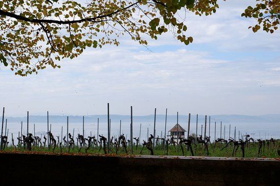 Kriegsgräber- und Gedenkstätte Lerchenberg