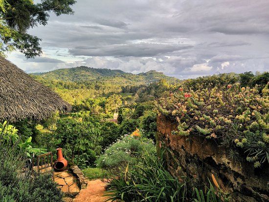 Irente Biodiversity Reserve