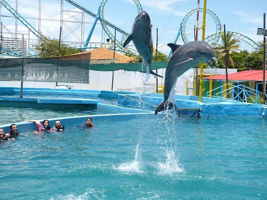 Waterland