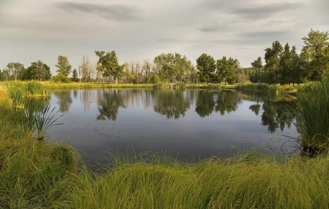 Parc provincial de Fish Creek
