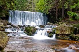The Wild Waterfall