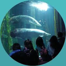 Acuario de Zaragoza