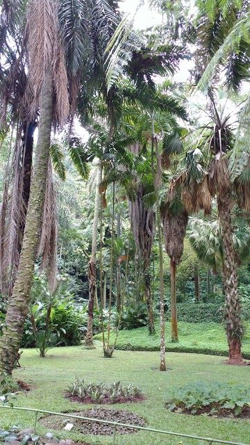 Plan de la Laguna Botanical Garden