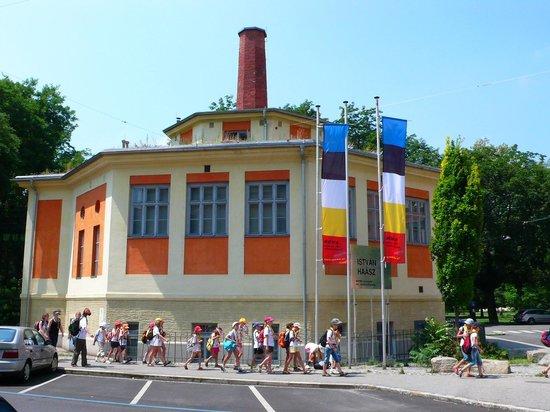 MuWa -- Museum of Perception