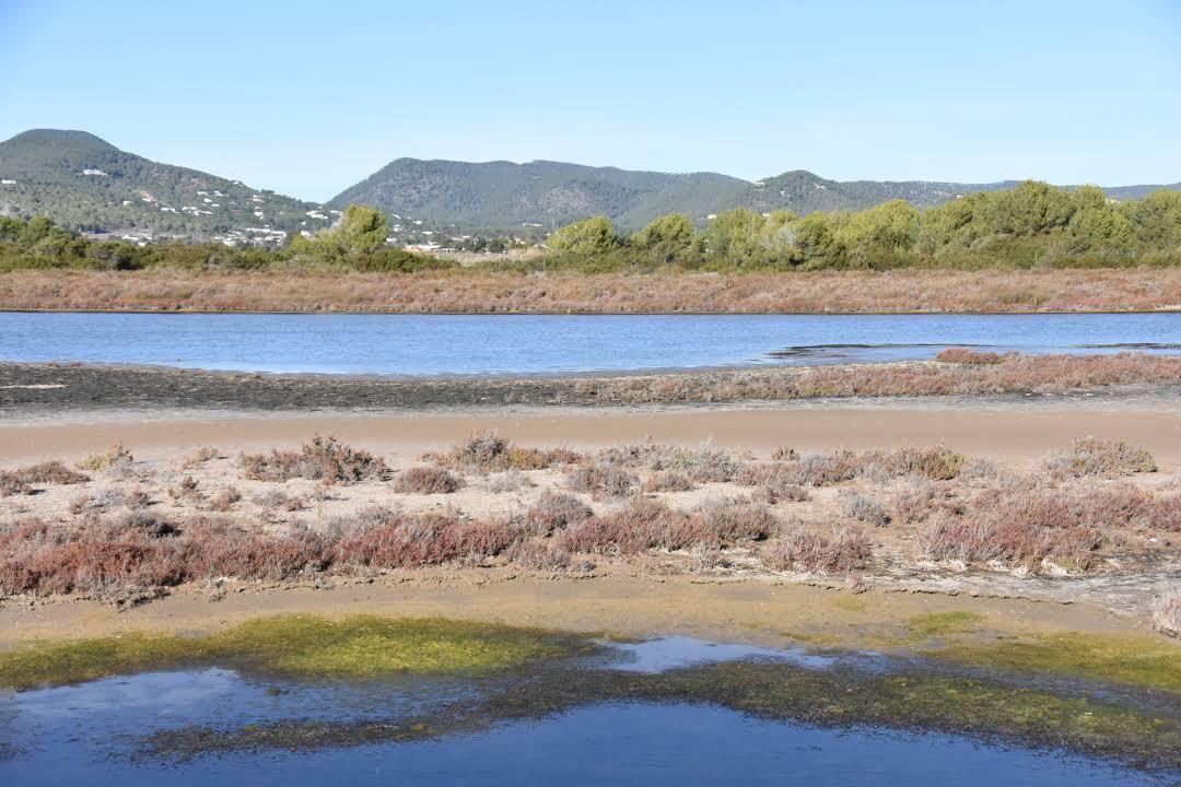 Playa de Ses Salines