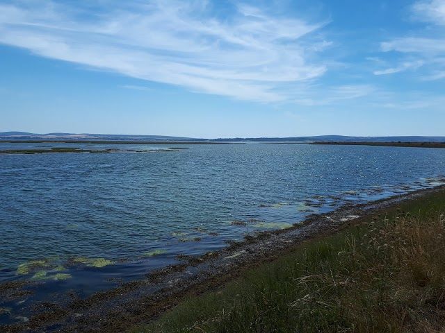 Lymington Nature Reserve