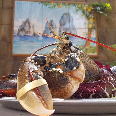 Ristorante Moonlight