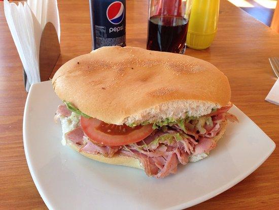 Palenque-Sangucheria Austral