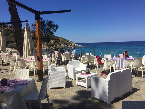 Summer Bar di Andrea Barsalini