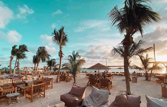 Ocean Oasis Restaurant