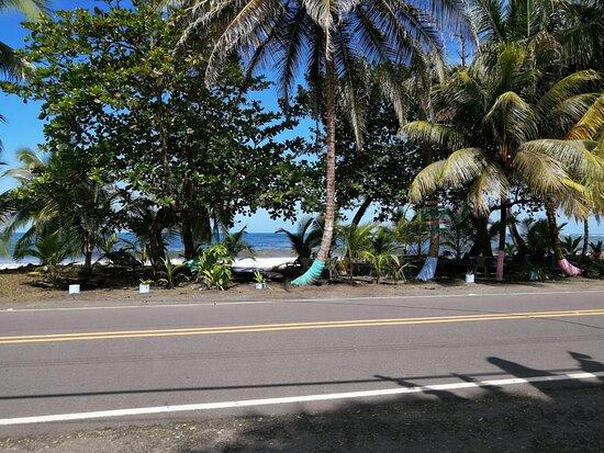 Colores Restaurant And Beach Lounge