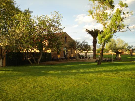 Terrain de Pitch and Putt