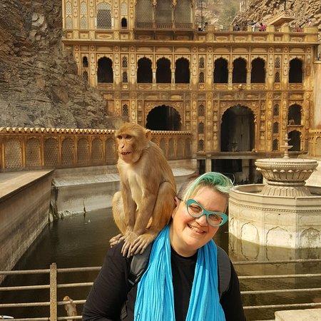 Curious Of Life Tours