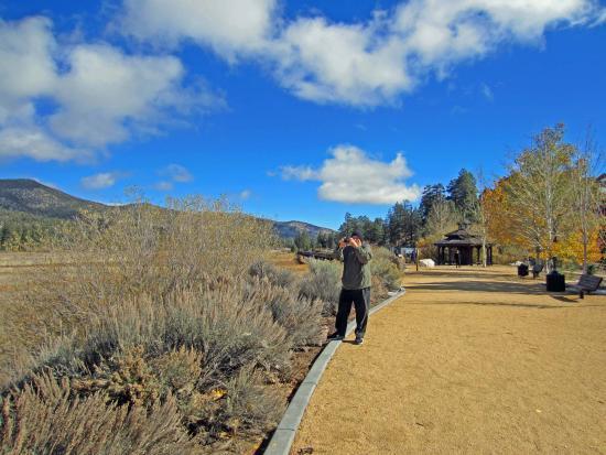 Stanfield Marsh Wildlife and Waterfowl Preserve