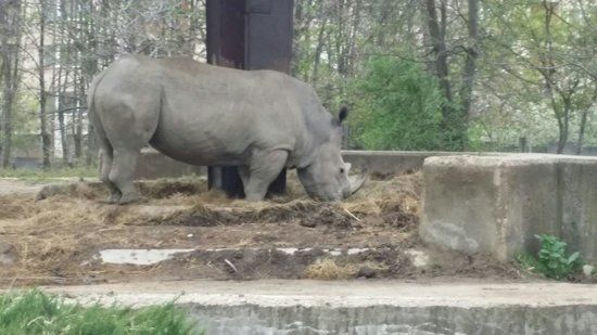 Zoológico de Sofía