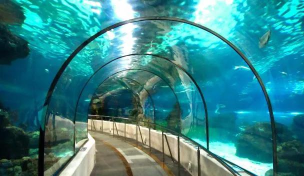 Acuario Sea Life Bangkok Ocean World