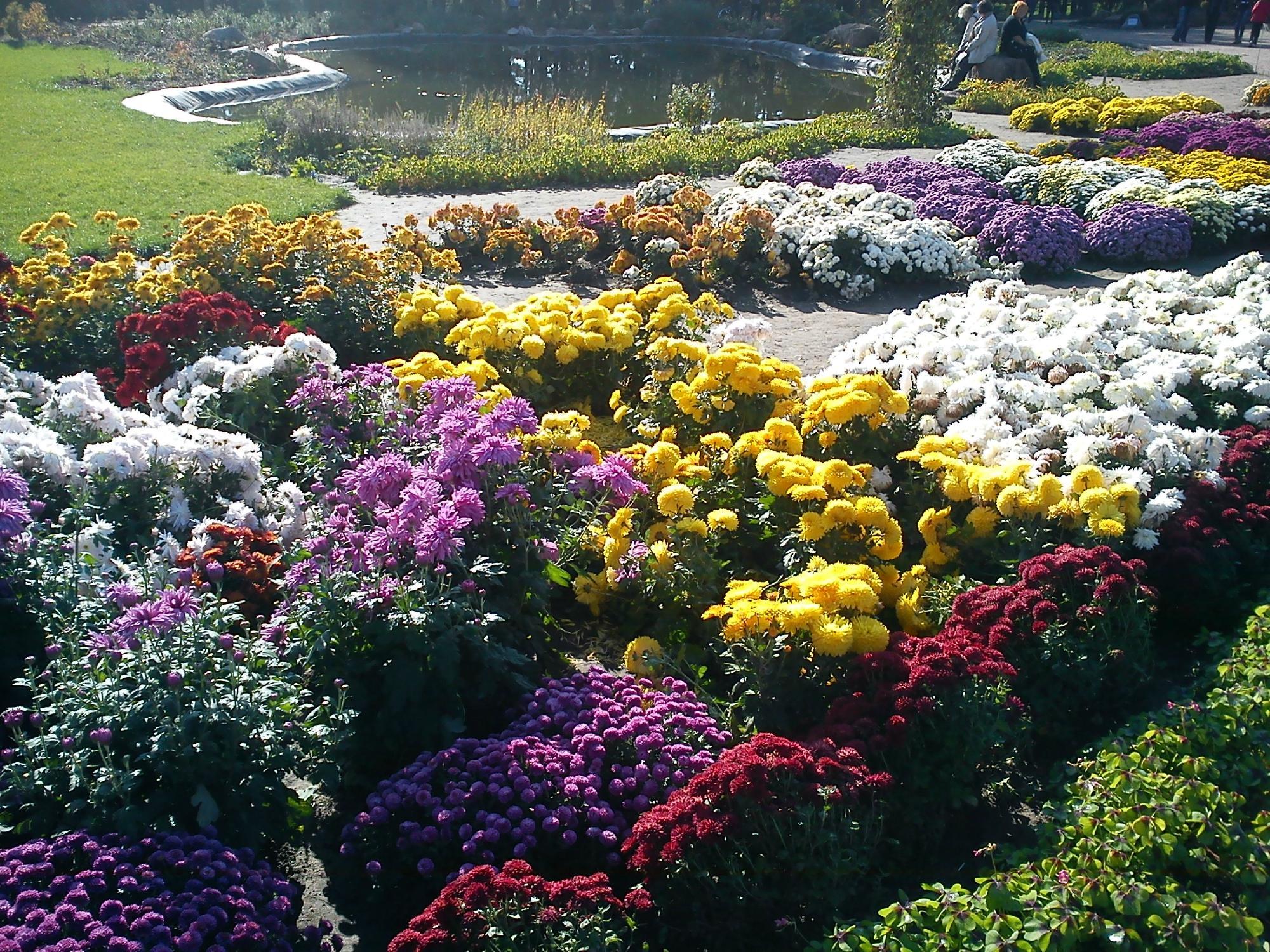 Pushkinskiy Park