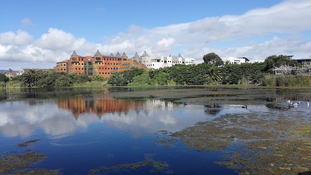 Réserve Intaka Island Bird Sanctuary