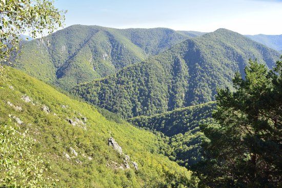 el Mirador de Muniellos