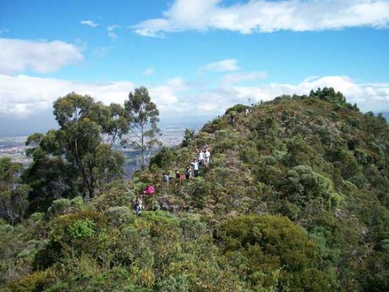Alameda de Quebrada Vieja