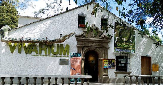 Quito's Vivarium