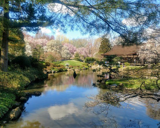 Shofuso Japanese House and Garden