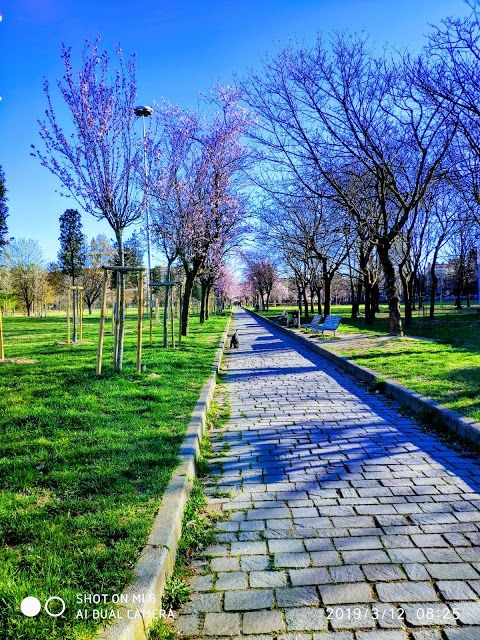 Parco Martiri della Libertà Iracheni Vittime del Terrorismo