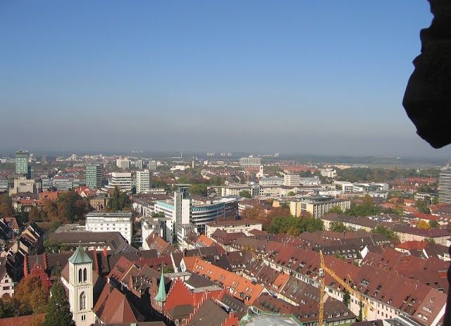 Freiburger Münster
