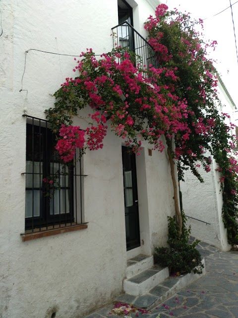 Galeria Patrick J. Domken