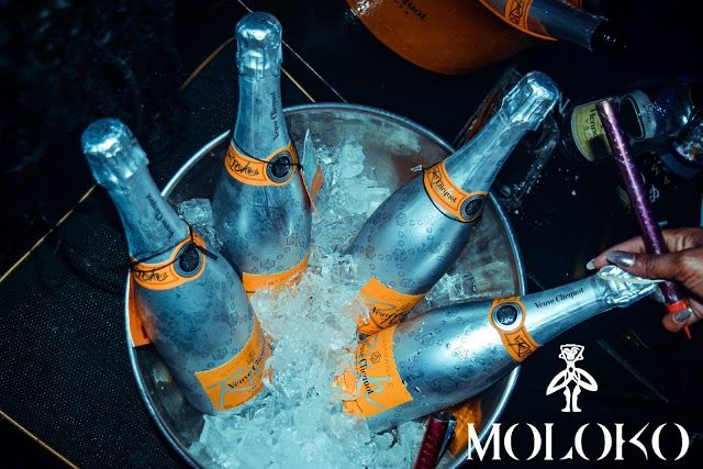 Moloko Club