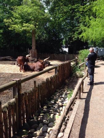Zoo Landau in der Pfalz
