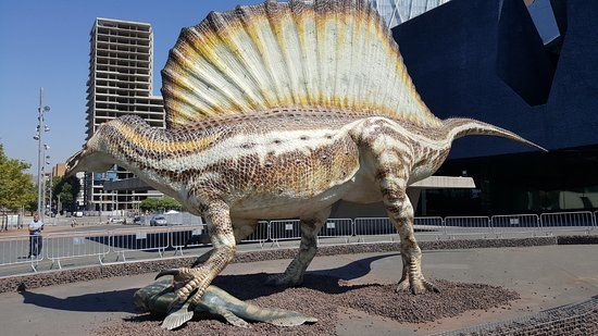 Museo di scienze naturali di Barcellona