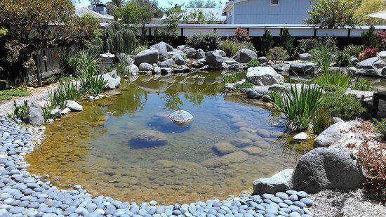 Yume Japanese Gardens of Tucson