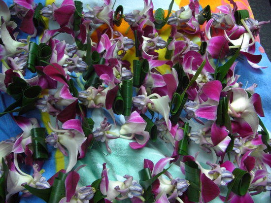 Senator Fong's Plantation and Gardens