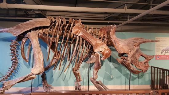 Science Spectrum Museum