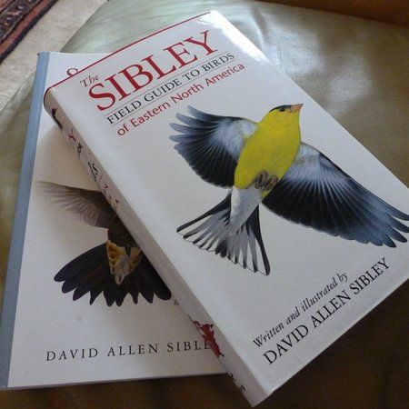 Joppa Flats Education Center and Wildlife Sanctuary