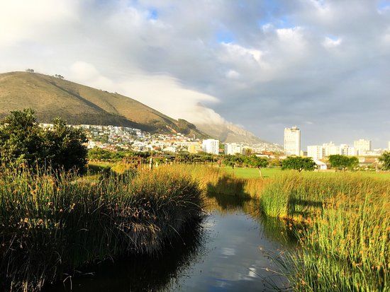 Parc et Jardin de la biodiversité de Greenpoint