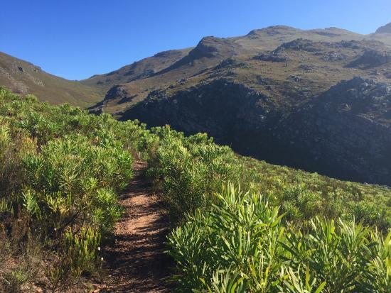 Mont Rochelle Nature Reserve