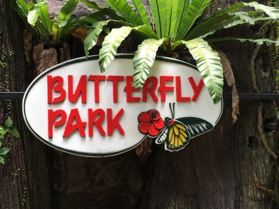 Parc Butterfly Park & Insect Kingdom
