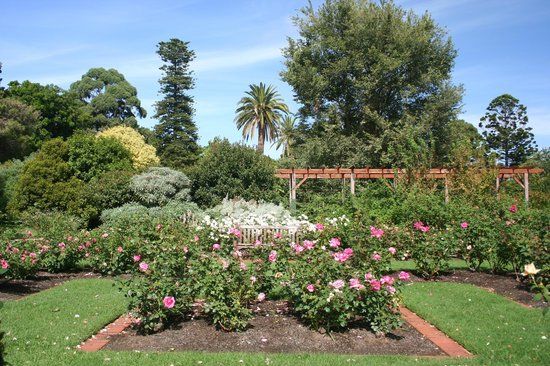 St Kilda Botanical Gardens