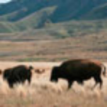 Fischraucherei Detlef Nottorf