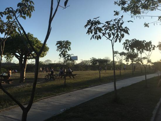 Bicentenario Park