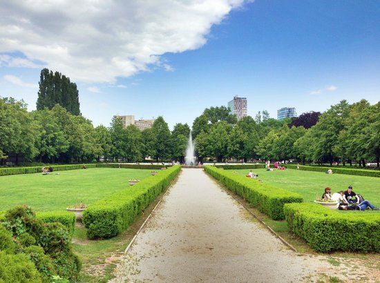 Medical Garden